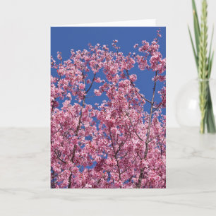 Carte Sakura Cerisiers en Fleur Dans Le Bleu