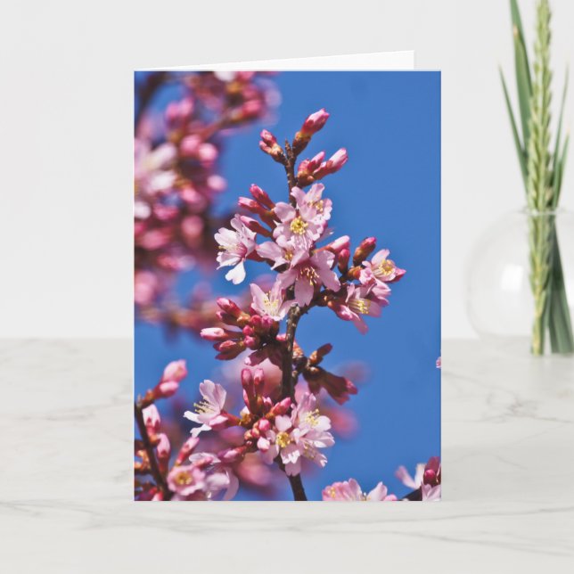Carte Sakura Cerisiers en Fleur Touchant le Bleu (Devant)