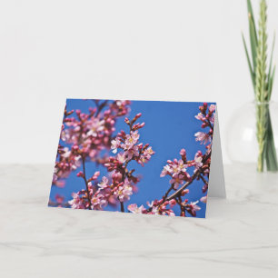 Carte Sakura Cerisiers en Fleur Touchant le Bleu
