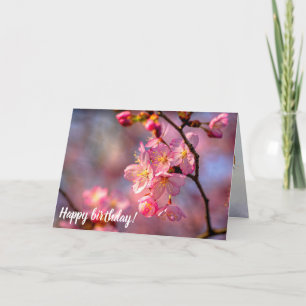 Carte Sakura cool Fleurs Sur Un Cerisier Dans Le Jardin