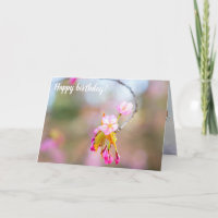 Sakura Fleurit Sur Un Pourboire De La Brindille. H