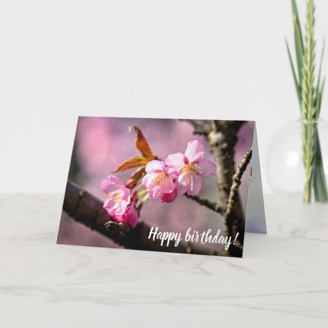 Carte Sakura Rose Fleurs Sur Un Arbre Au Printemps (Devant)