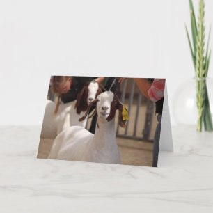 Carte Salon de chèvre