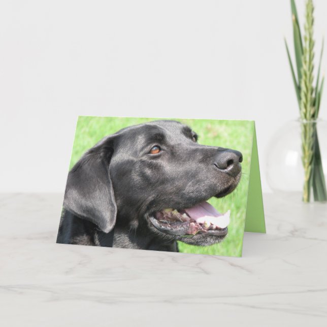 Carte Salutation (Devant)