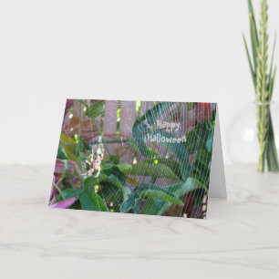 Carte - Salutation - Araignée sur toile