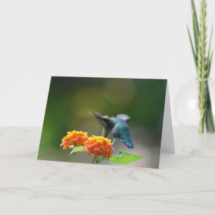 Carte Salutation aux colibris