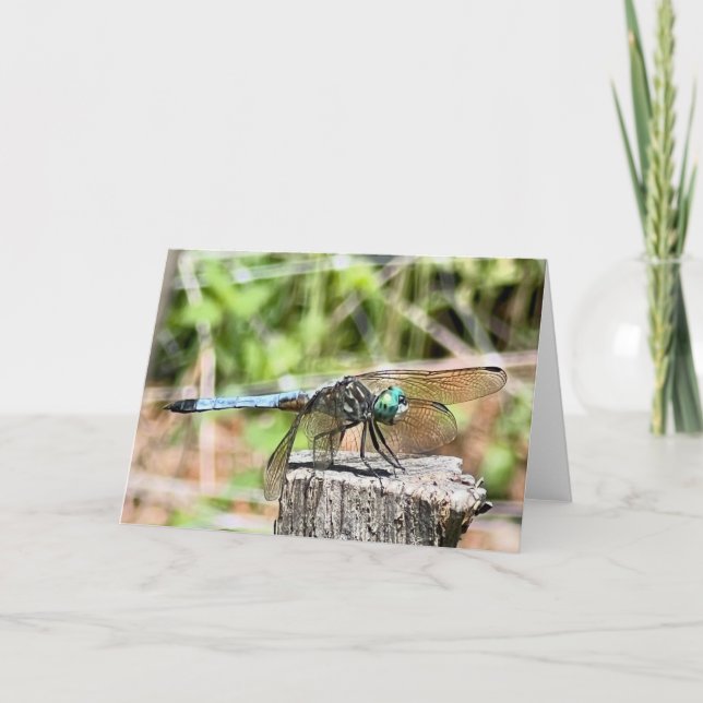 Carte Salutation aux libellules bleues (Devant)