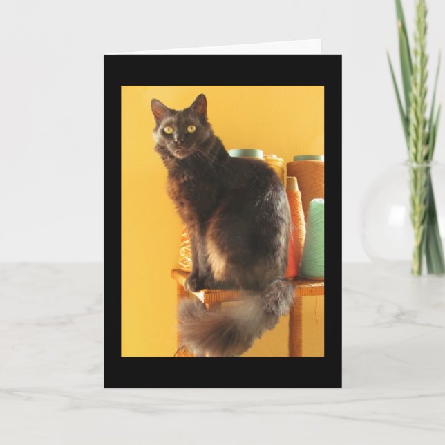 Carte - Salutation - Chat avec Fil (Devant)