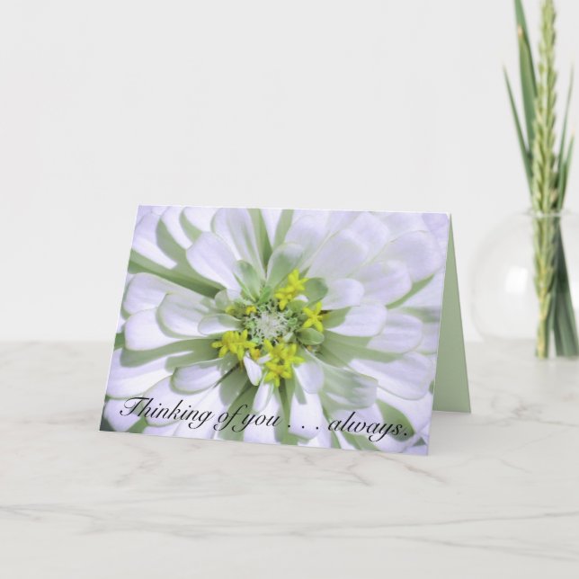 Carte Salutation de la Carte-Pensée au Zinnia blanc (Devant)