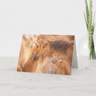 Carte Salutation de plus en plus grande de Bolder