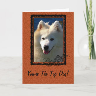 Carte Salutation des chiens principaux