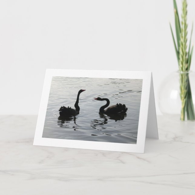 Carte Salutation des cygnes noirs (large frontière) (Devant)