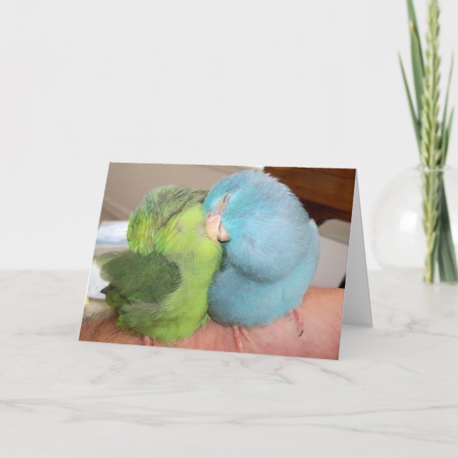 Carte Salutation des inséparables Parrotlet "en sécurité (Devant)