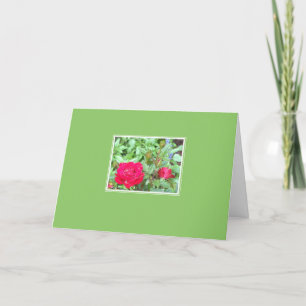 Carte Salutation des Roses de thé