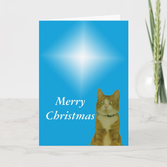 Carte - Salutation - étoile de Noël (Devant)