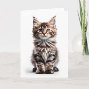 Carte Salutation Fluffy Long-Haired Maine Coon Cat Blank