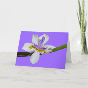 Carte - Salutation - Iris