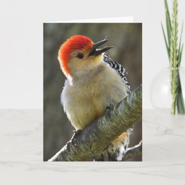 Carte Salutation joyeuse (Devant)