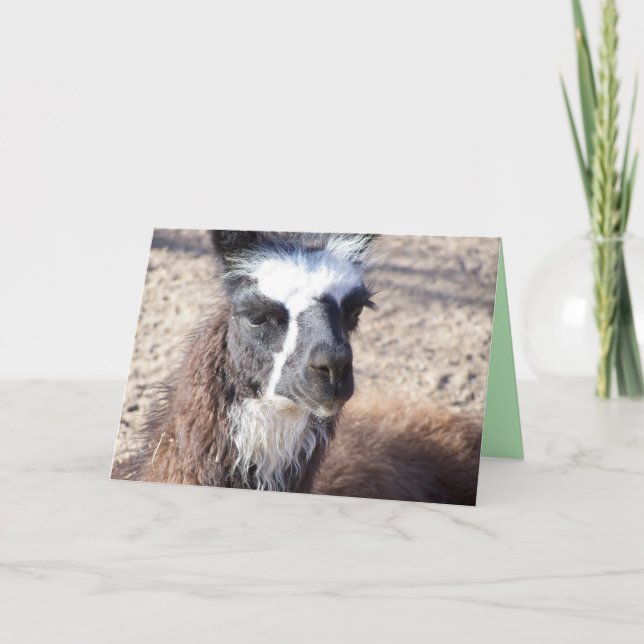 Carte Salutation Mama Llama (Devant)