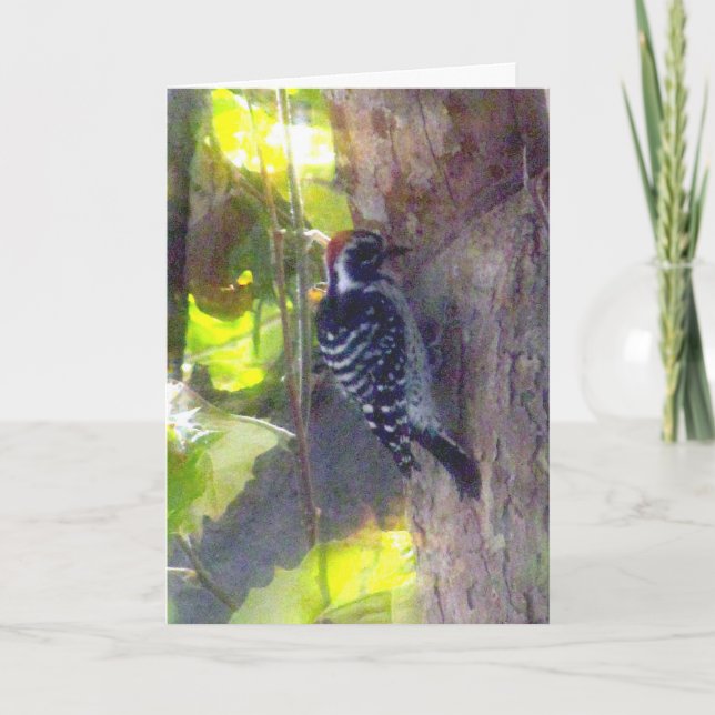 Carte - Salutation - Pic (Devant)