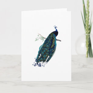 Carte Salutation vintage d'illustration de paon