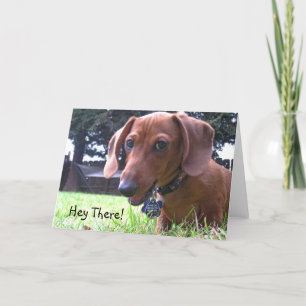 Carte Salutations Dachshund