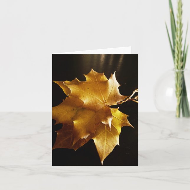 Carte Salutations d'automne (Devant)