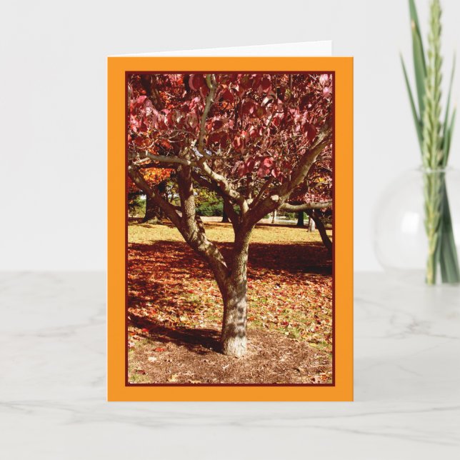 Carte Salutations d'automne (Devant)