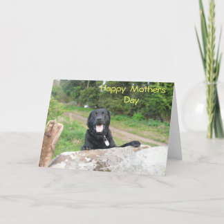 Carte Salutations de la Fête des mères