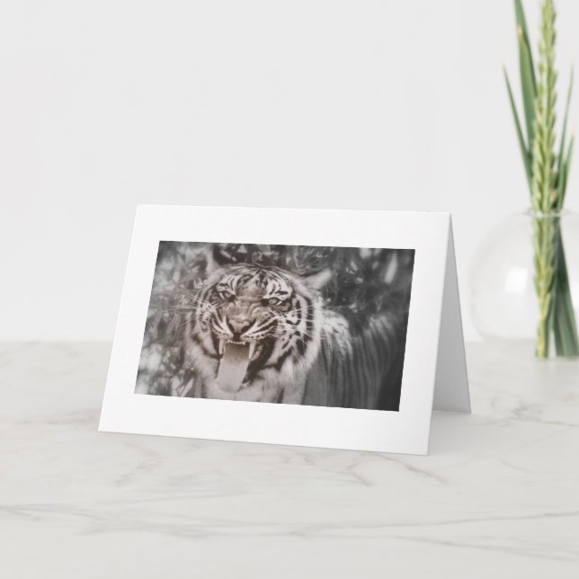 Carte Salutations de Pride Rock (Devant)