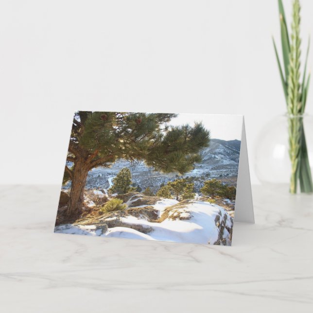 Carte Salutations du Colorado (Devant)