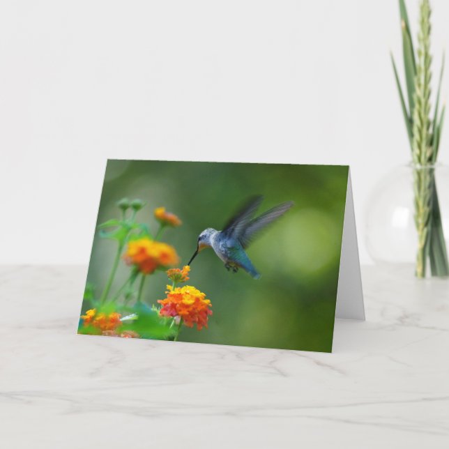 Carte Salutations ! D'Un Hummer D'Été ! (Devant)