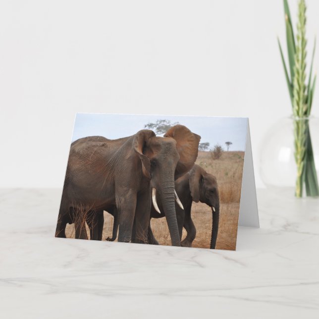 Carte Salutations et salutations (Devant)