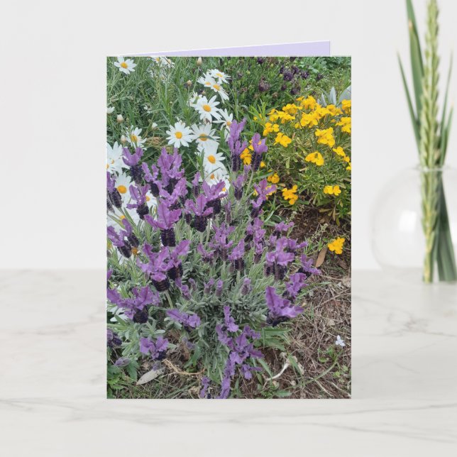 Carte Salutations Florales de Lavande Violette et Fleur  (Devant)