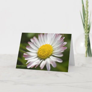 Carte Salutations Mini Daisy