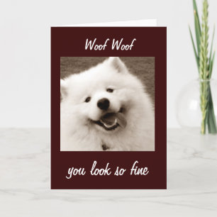 CARTE SAMOYED DIT QUE VOUS REGARDEZ **FINE POUR LE TOURN