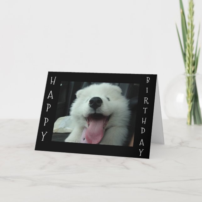 CARTE SAMOYED DIT SAVE ME GÂTEAU/I LOVE U'ANNIVERSAIRE S (Devant)