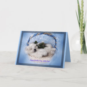 Carte Samoyed Puppy Greeting Card : "Gotcha"Day Celebrat