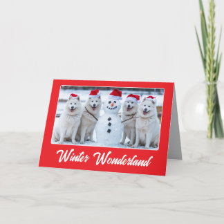 Carte Samoyeds et Snowman