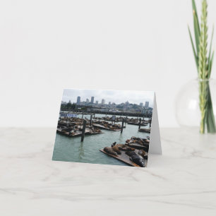 Carte San Francisco et Pier 39 Sea Lions City Skyline