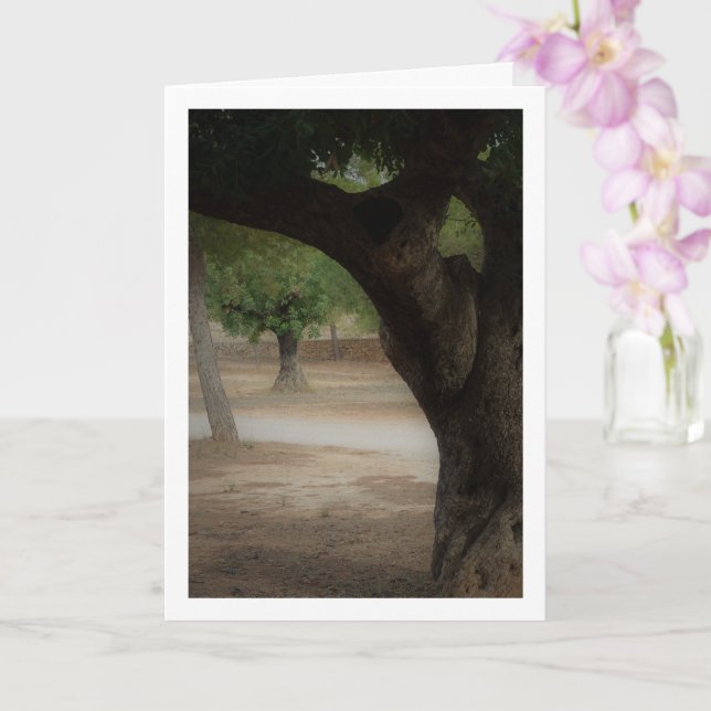 Carte San Vicente Park Lliria, Valence (Orchidée)