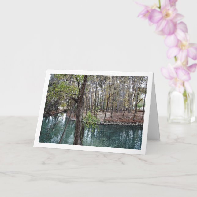 Carte San Vicente Park, Lliria, Valence, Espagne (Orchidée)