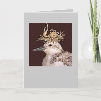 carte sanderling, Gidget