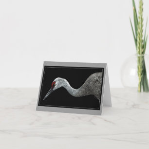 Carte Sandhill Crane