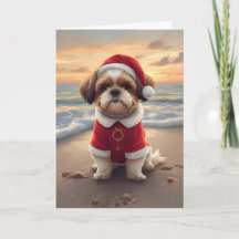 Sandy Paws & Joie de Noël – Petit Père Noël de la