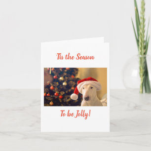 Carte Santa Chapeau Bull Terrier, C'est la Saison