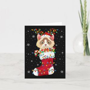 Carte Santa Hat Ragdoll Chat Animal En Chaussettes Joyau