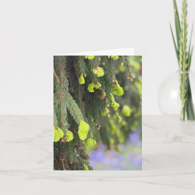 Carte Sapin de Noël Épinette Neige Hiver (Devant)