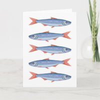 Sardines