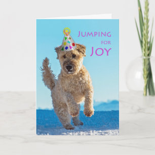 Carte Sauter pour la joie, Wheaten Terrier, Anniversaire